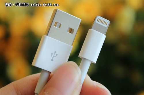 USB蘋果雙面插